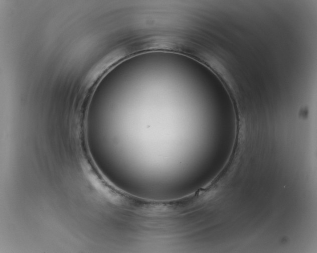 X0000113271042200909171709