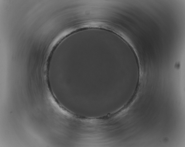X0000113271045200909171709
