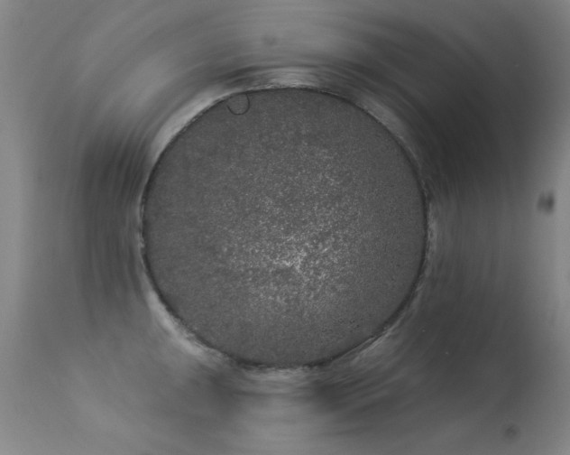 X0000113271047200909171709