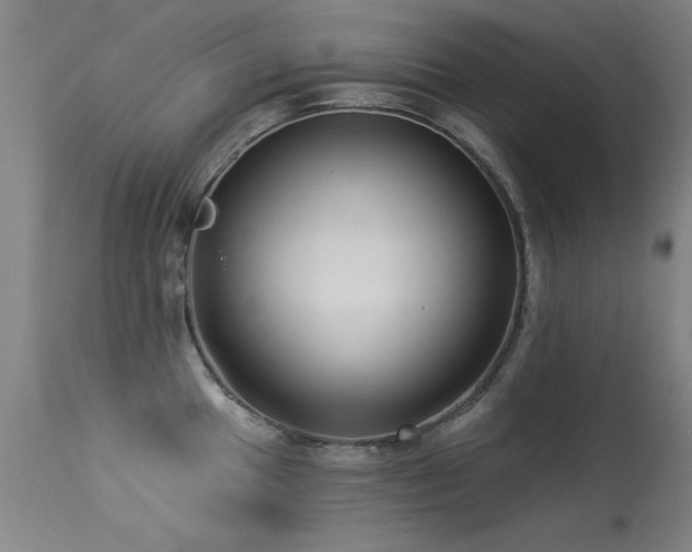 X0000113271049200909171709