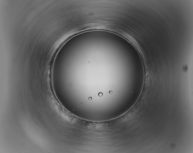 X0000113271051200909171709