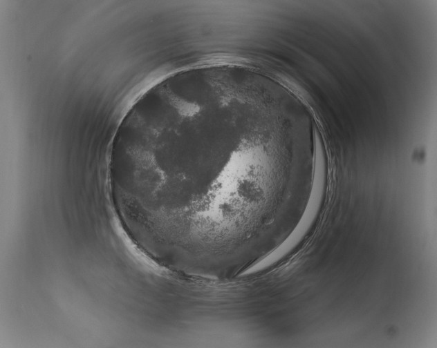 X0000113271055200909171709