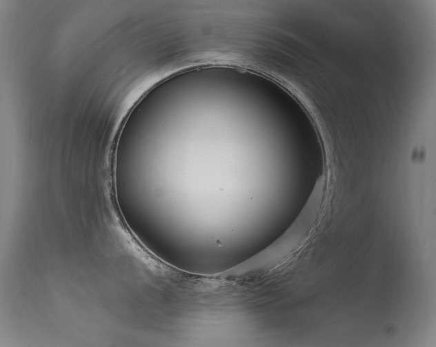 X0000113271056200909171709