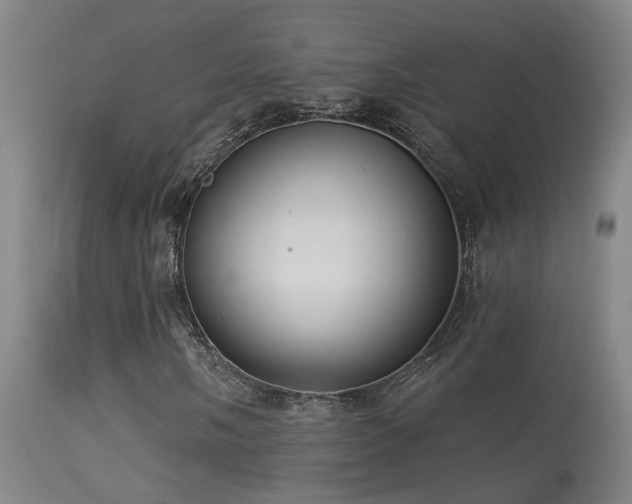 X0000113271058200909171708