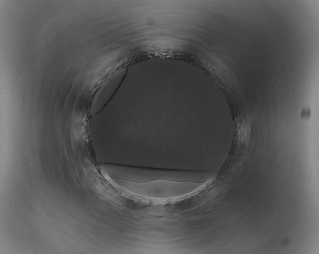 X0000113271060200909171708
