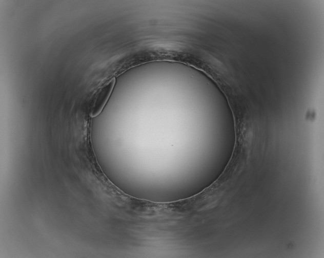X0000113271061200909171708