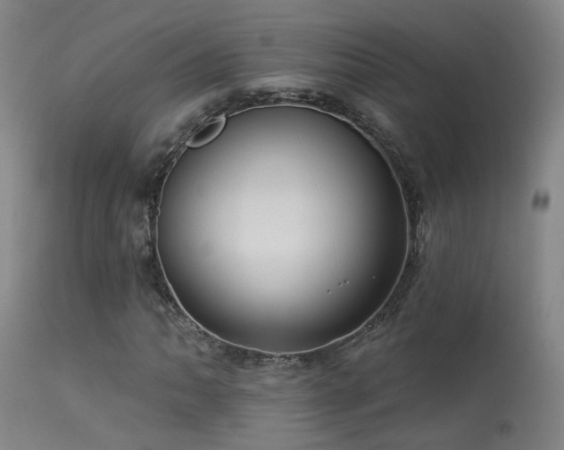 X0000113271062200909171708