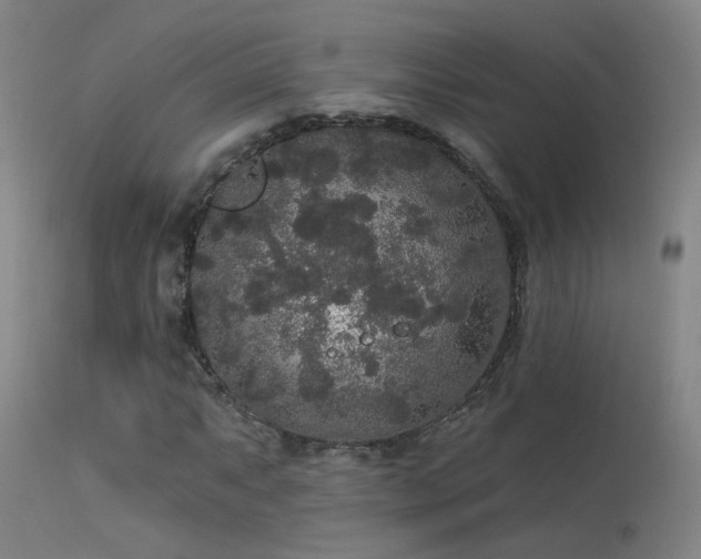 X0000113271063200909171708