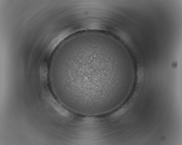 X0000113271065200909171708