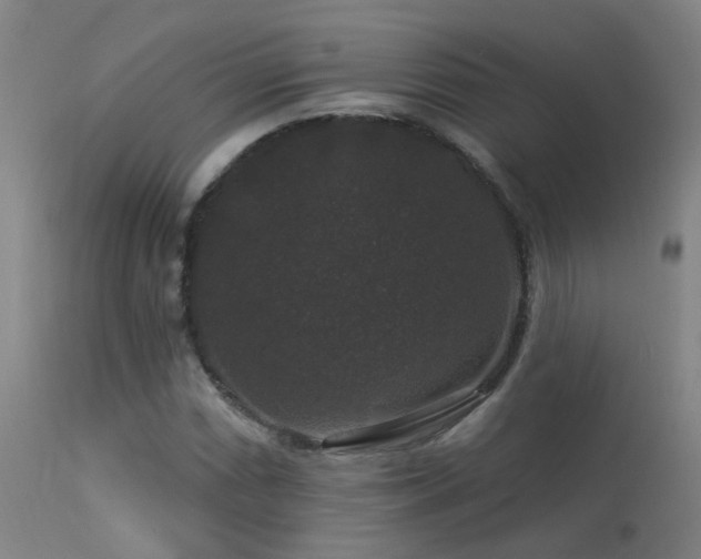 X0000113271066200909171708