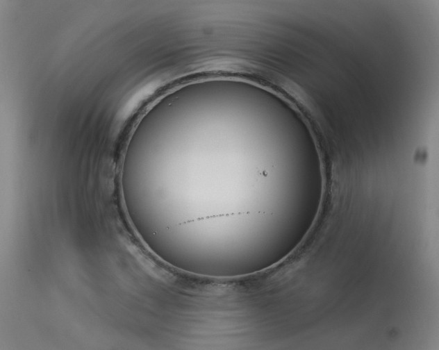 X0000113271067200909171708