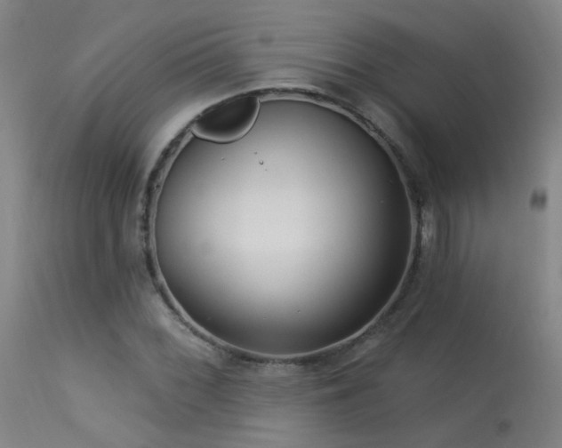 X0000113271068200909171708