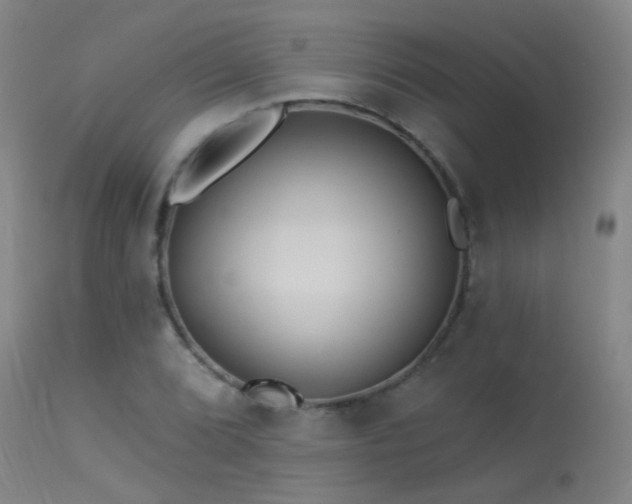X0000113271072200909171708