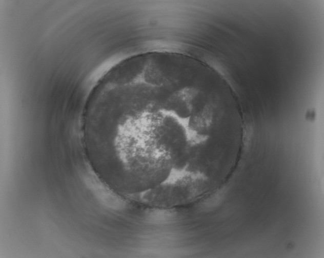 X0000113271074200909171708