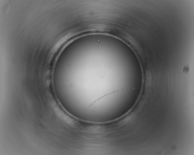 X0000113271075200909171708