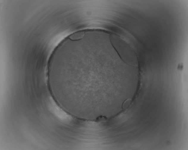 X0000113271076200909171708