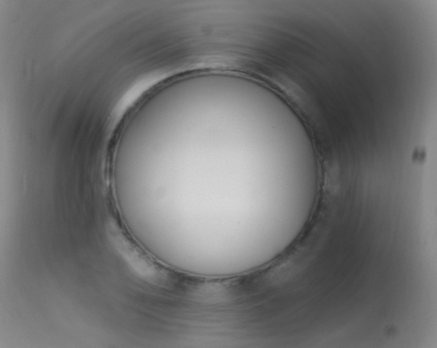 X0000113271078200909171708