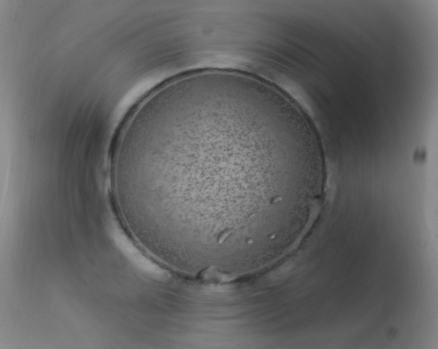 X0000113271080200909171708