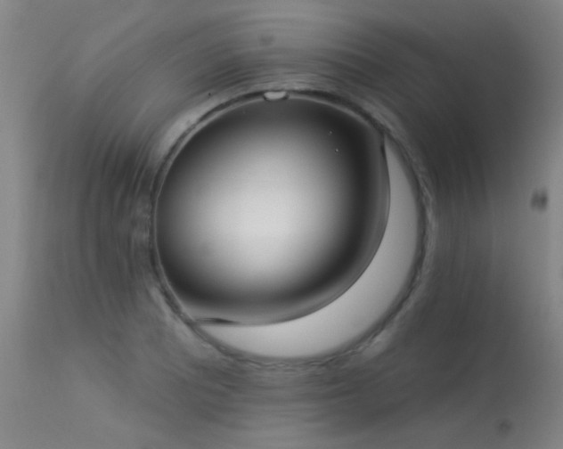 X0000113271081200909171708