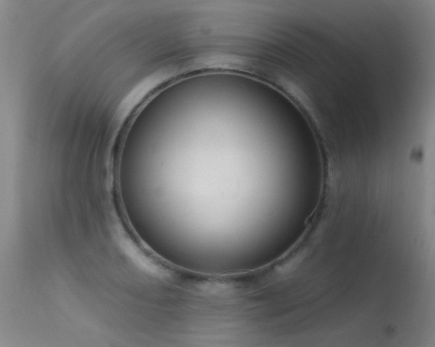 X0000113271082200909171708