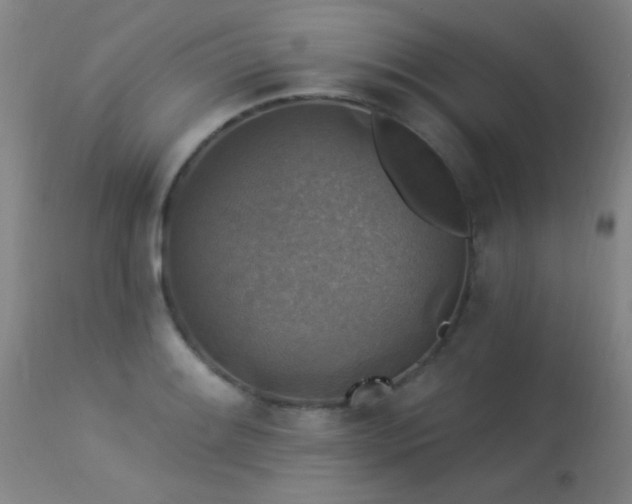 X0000113271084200909171708