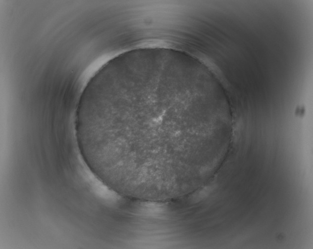 X0000113271086200909171708