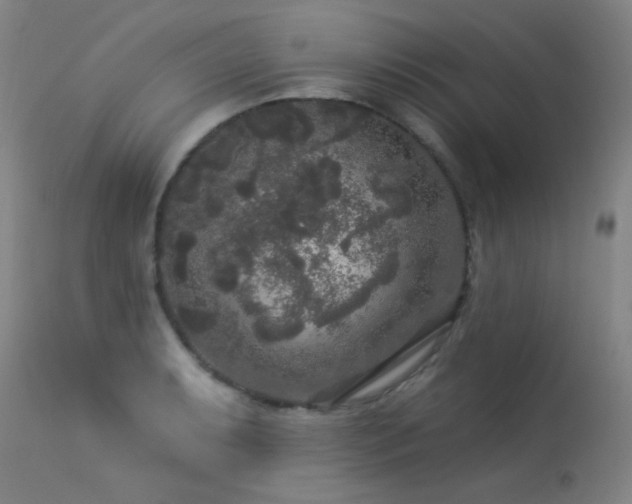 X0000113271087200909171708