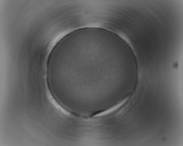 X0000113271088200909171708