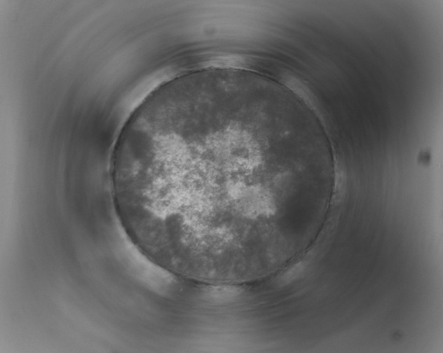 X0000113271090200909171708
