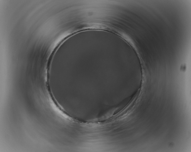 X0000113271095200909171708