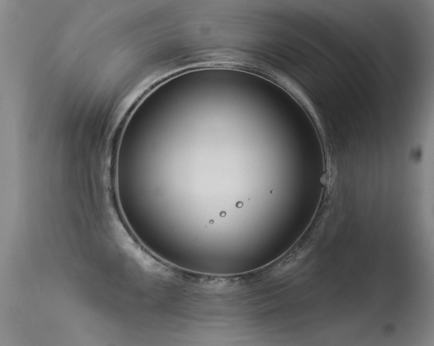 X0000113271099200909171708