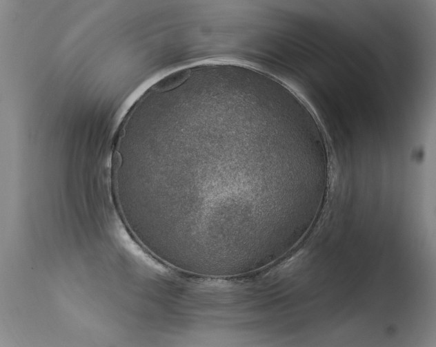 X0000113271100200909171708