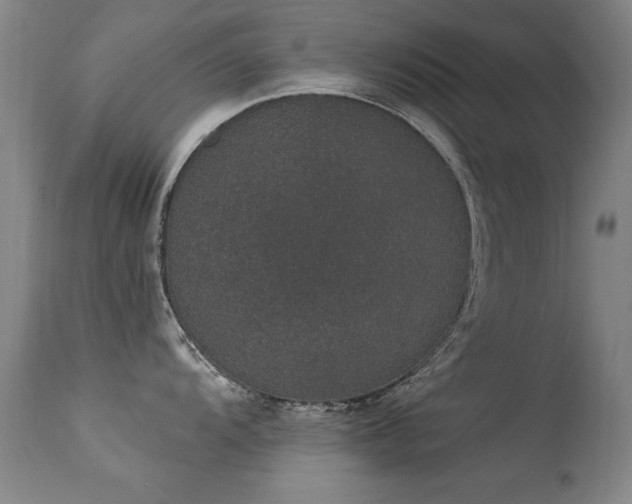 X0000113271104200909171708
