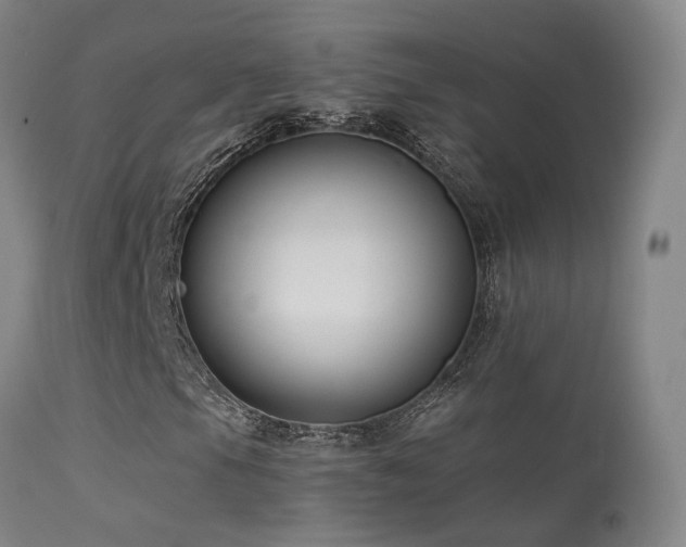 X0000113271105200909171707