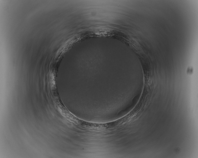 X0000113271106200909171707
