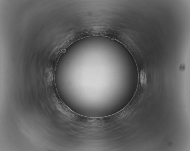 X0000113271107200909171707