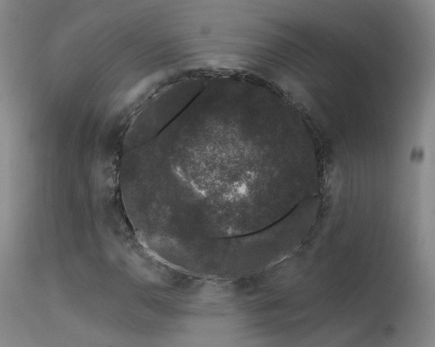 X0000113271110200909171707