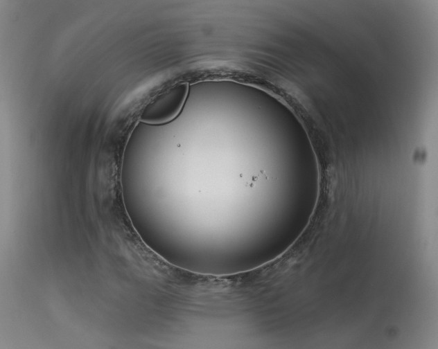 X0000113271111200909171707