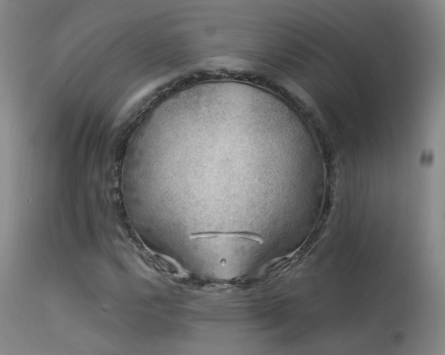 X0000113271112200909171707