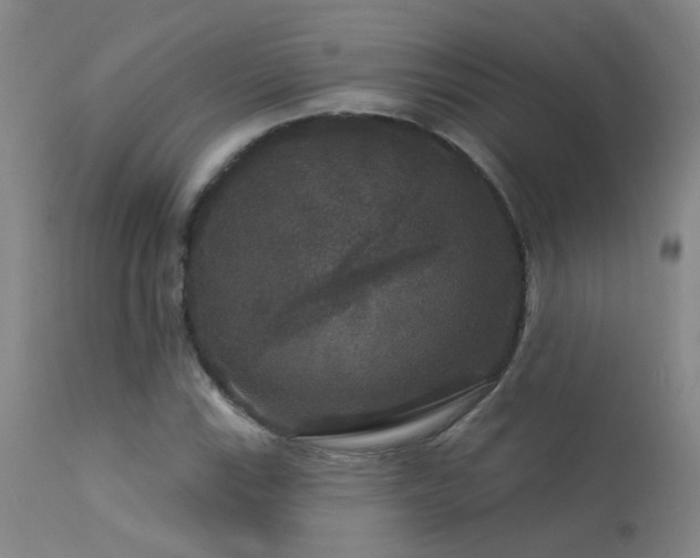 X0000113271115200909171707