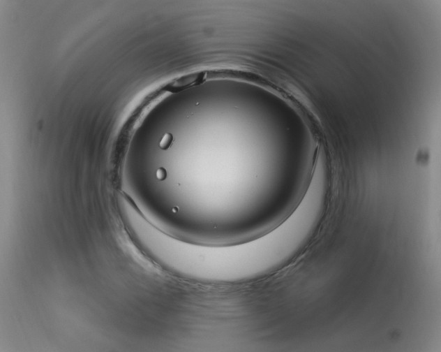 X0000113271116200909171707