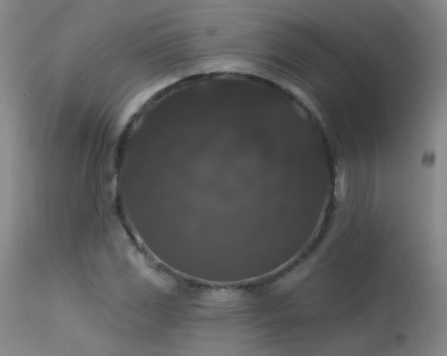 X0000113271117200909171707