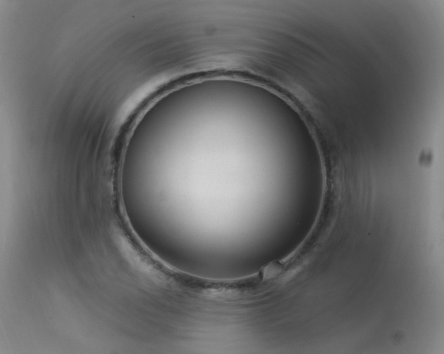 X0000113271118200909171707