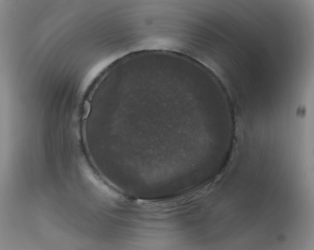 X0000113271120200909171707
