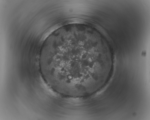 X0000113271121200909171707
