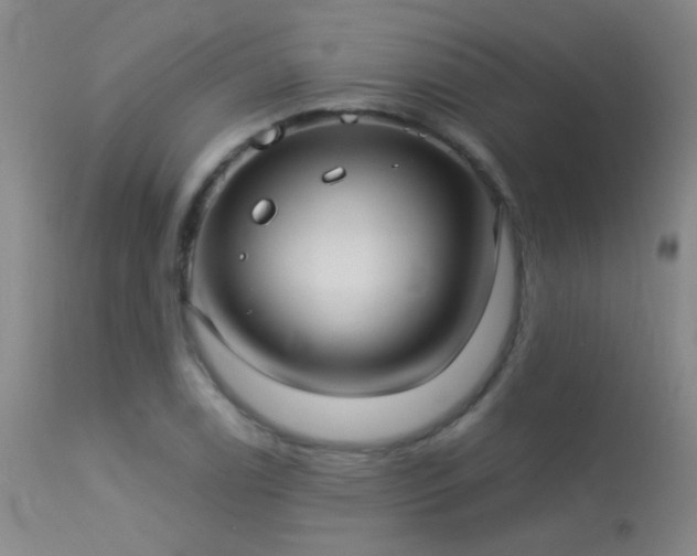 X0000113271122200909171707