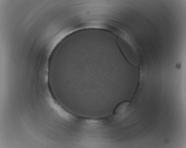 X0000113271132200909171707