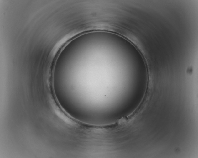 X0000113271136200909171707