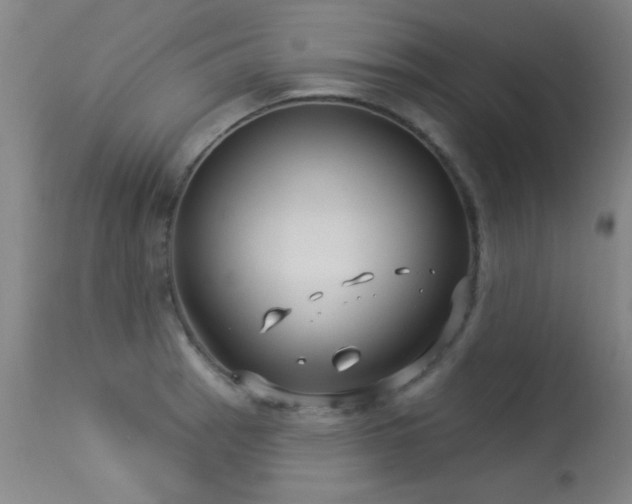 X0000113271137200909171707