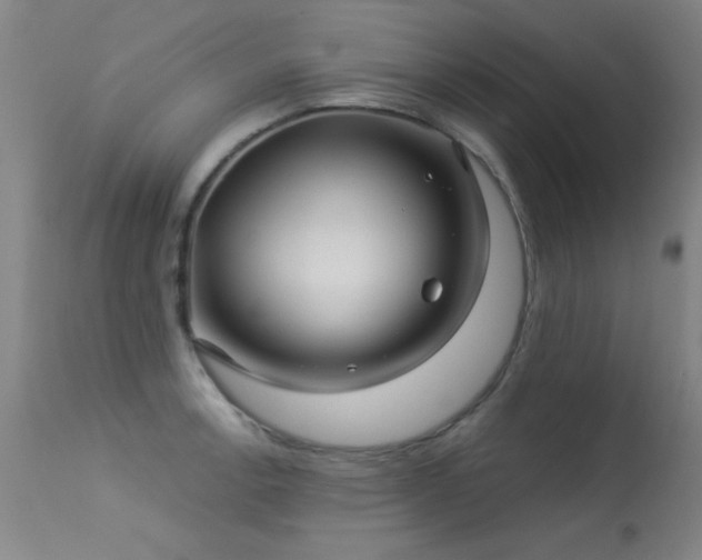 X0000113271138200909171707